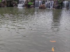 -白马涧龙池景区