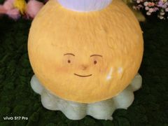 -岭南站NOVA