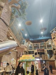 -卡通尼·Safari非洲探索乐园·生日会(金桥国际商业广场店)