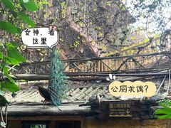 -长鹿旅游休博园