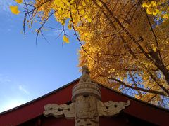 -北京石刻艺术博物馆(五塔寺)