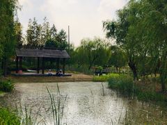 -尚贤河湿地