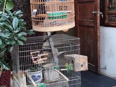 -丽江庭院·云南野生菌·海鲜火锅(鼓楼四合院店)