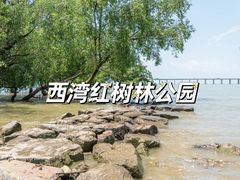 -华侨城湿地公园