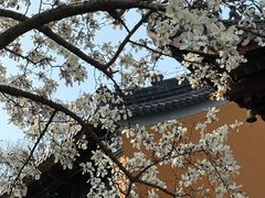 -灵谷景区