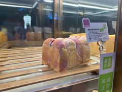 -奈雪的茶(赛格店)