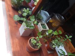 -铃木食堂(帽儿胡同店)