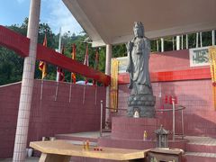 -风云岭森林公园