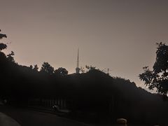 -惠山国家森林公园