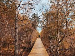 -白草畔自然风景区