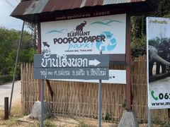 -大象粑粑造纸公园