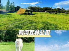 -两河城市森林公园