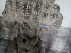 -莲池书院博物馆