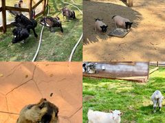 -南戴河国际娱乐中心