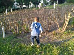 -西安汉城湖景区