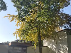 -食膳公园包子铺(烈士公园店)