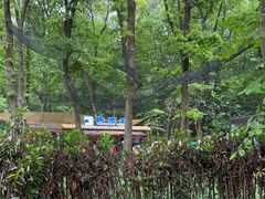 -WeLope紫金山探险公园