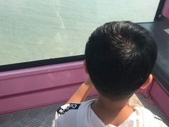 -琴岛之星摩天轮