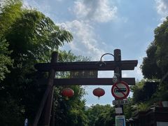 -龙井村