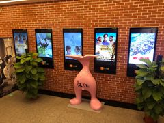 -华美国际影城(旧宫永辉店)