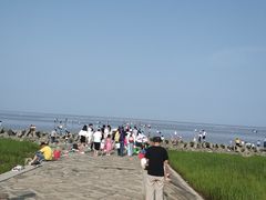 -南汇嘴观海公园