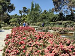 -阿方索十二世纪念碑