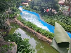 -七彩云南欢乐世界