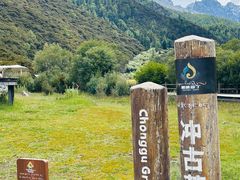 -稻城亚丁景区-冲古草甸