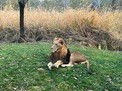 -北京野生动物园