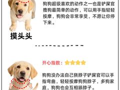 -翊宠yipet猫狗购宠庄园
