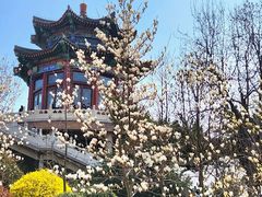 -湛山寺