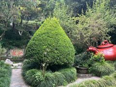 -十八棵（老龙井）御茶园(老龙井店)