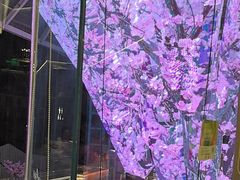 -海底捞火锅(老城根店)