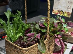 -芸山季·云南山珍菌火锅(宝能环球汇店)