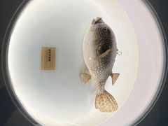 -陕西自然博物馆