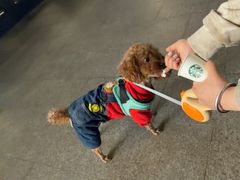 -星巴克(西安益田假日世界店)