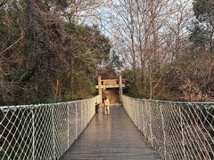 -敬亭山风景名胜区