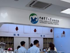 -中国农业大学动物医院