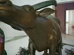 -华西龙希国际大酒店旅游观光景区