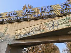 -南宫五洲植物乐园