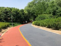 -大兴滨河森林公园