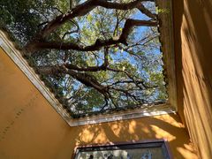 -普陀山风景区-佛顶山