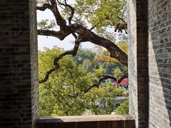 -江心屿景区