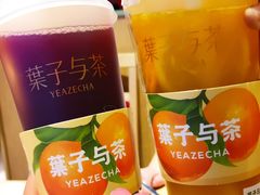 夏黑葡萄-叶子与茶(苏宁广场店)