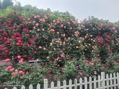 -郑州植物园