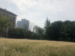 -上海无线电博物馆