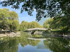 -大兴滨河森林公园