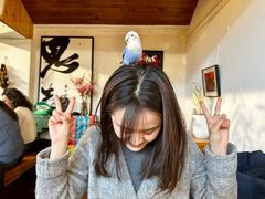 -点绛唇(鼓楼店)