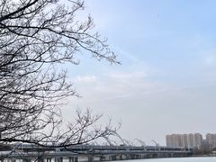 -灞河西岸滨河公园