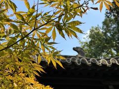 -红梅公园